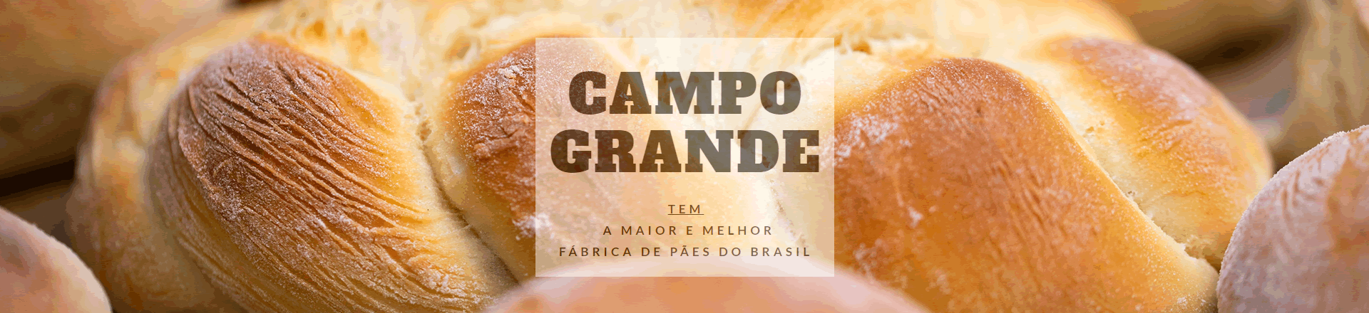 Primeiro Slide
